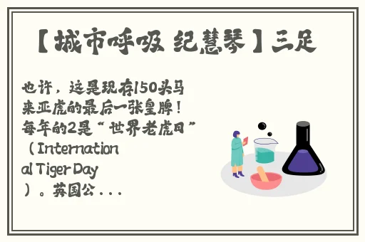 龙泽罗拉第一部种子